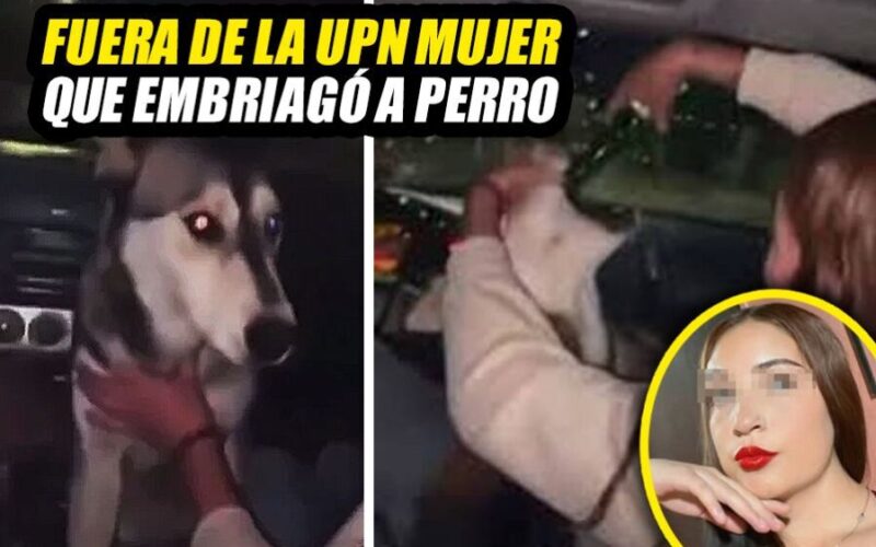Expulsan a joven de la UPNECH que dio alcohol a perro en Madera