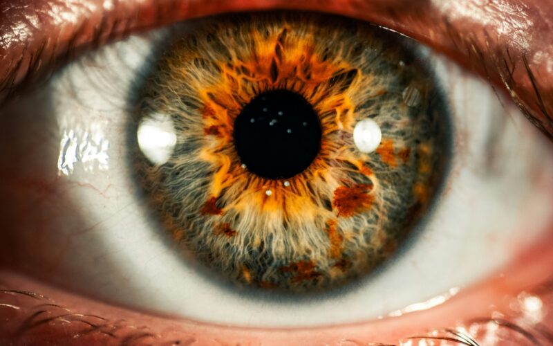 Cómo mantener una visión saludable: hábitos clave para proteger tus ojos