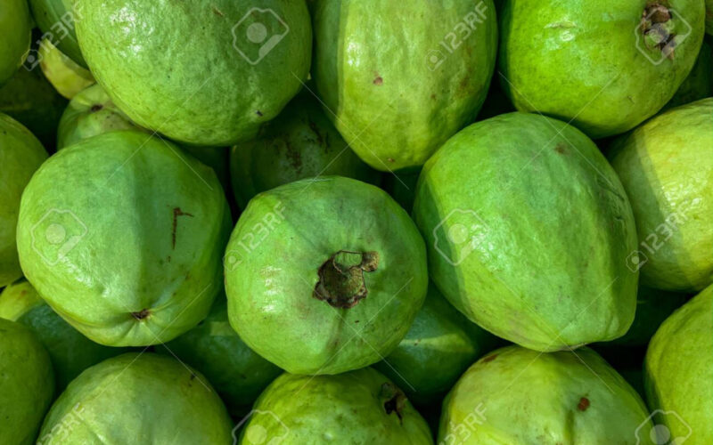 GUAYABA: LA FRUTA QUE LA CIENCIA OBSERVA EN LA LUCHA CONTRA EL CÁNCER DE HÍGADO