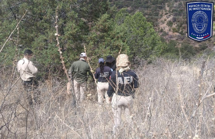 Localizan restos óseos y objetos en operativo de búsqueda en la carretera Parral–Guadalupe y Calvo