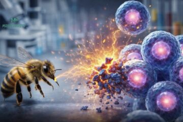 Veneno de abeja muestra potencial contra células cancerosas en estudio científico