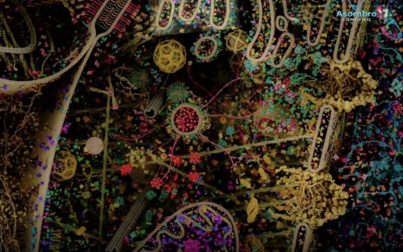 El universo que llevas dentro: así funciona una sola célula humana en tiempo real