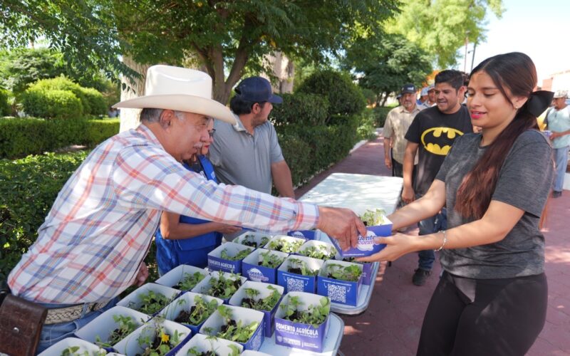 Entrega Arturo Zubía Más De 10 Mil Plántulas A Familias De Camargo Y Jiménez