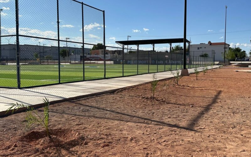 Realizan forestación de 100 plantas en el Polideportivo Luis H. Álvarez