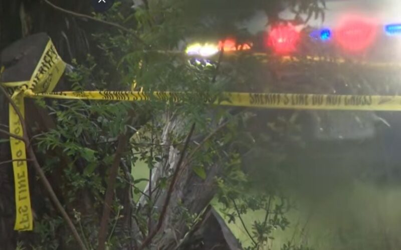 Tragedia en Texas: avioneta con jugadores de pickleball se desploma y deja cinco muertos