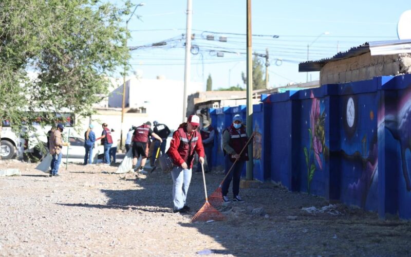 IPACULT participa en jornada de limpieza y reforestación en parque de Juárez