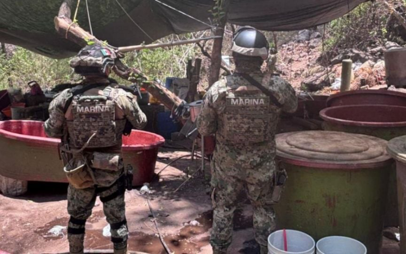 Golpe millonario al narco: desmantelan cinco laboratorios clandestinos ligados al CJNG y Sinaloa