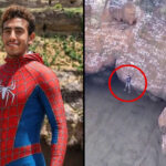 Muere el “Spiderman de Yemen” tras caer a un cráter volcánico durante una arriesgada escalada