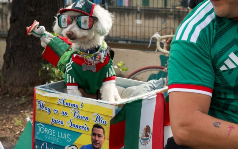 “Osito”, el perro que conquistó el Mundial 2026 y se volvió una estrella viral en México