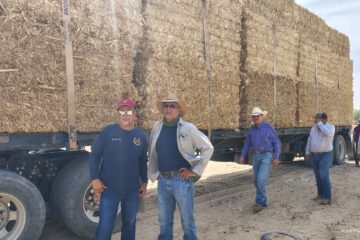 Entregan pacas de maíz a ganaderos de Juárez para enfrentar efectos de la sequía