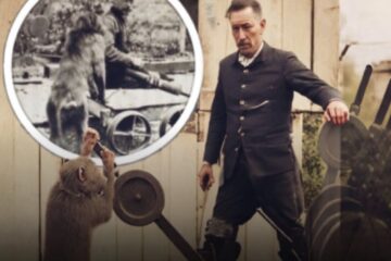 Jack, el babuino que trabajó nueve años en el ferrocarril sin cometer un solo error