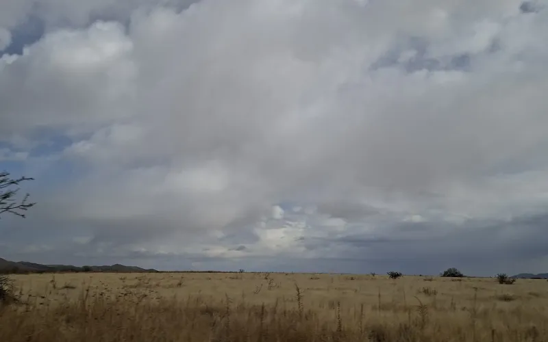 Alertan por lluvias, fuertes vientos y posibles tolvaneras en gran parte de Chihuahua