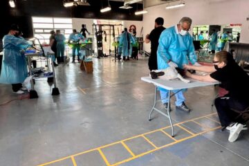 Jael Argüelles impulsa campaña gratuita de esterilización y bienestar animal en Ciudad Juárez