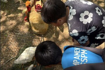 Más de 400 menores disfrutan día de campo en el Campamento de Verano de la SSPM