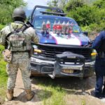Aseguran 18 kilos de semilla de amapola en Guadalupe y Calvo durante operativo conjunto