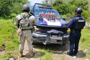 Aseguran 18 kilos de semilla de amapola en Guadalupe y Calvo durante operativo conjunto