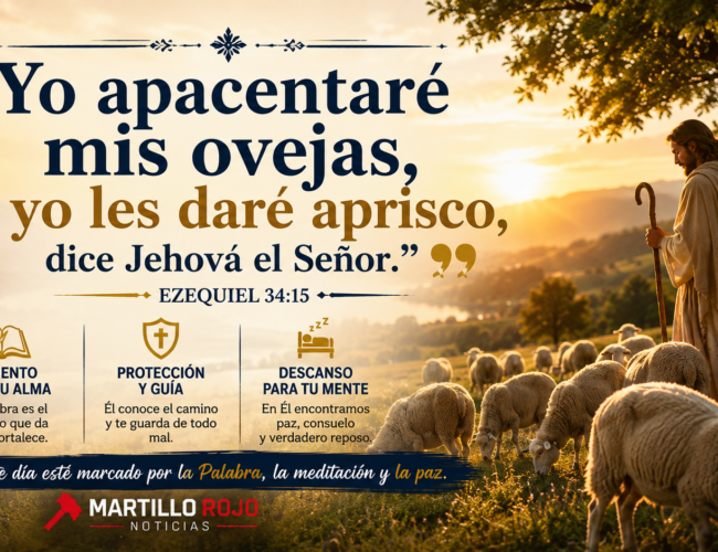 El Buen Pastor alimenta y da descanso