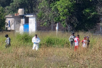 Cinco homicidios en menos de 24 horas sacuden a Guanajuato; León concentra la mayor violencia