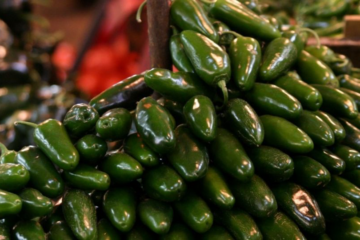 Cofepris investiga planta de Nuevo León por presunto brote de salmonela relacionado con chiles jalapeños en EE.UU.