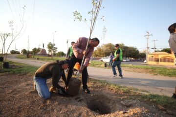 Gobierno Municipal participa en Jornada Nacional de Reforestación con plantación de árboles en Ciudad Juárez