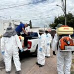 Llevará IMPAS jornadas del programa “Patio de Mi Casa” a cuatro colonias de Chihuahua