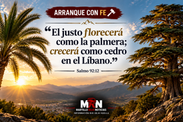 Crecer hacia arriba, aun cuando lleguen las tormentas