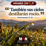 Cuando el alma necesita volver a respirar