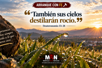 Cuando el alma necesita volver a respirar