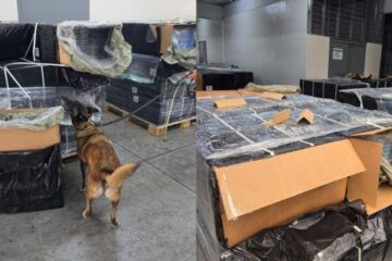 Frenan en el AICM cargamento de 5.4 millones de cigarros ocultos como “bocinas y básculas”