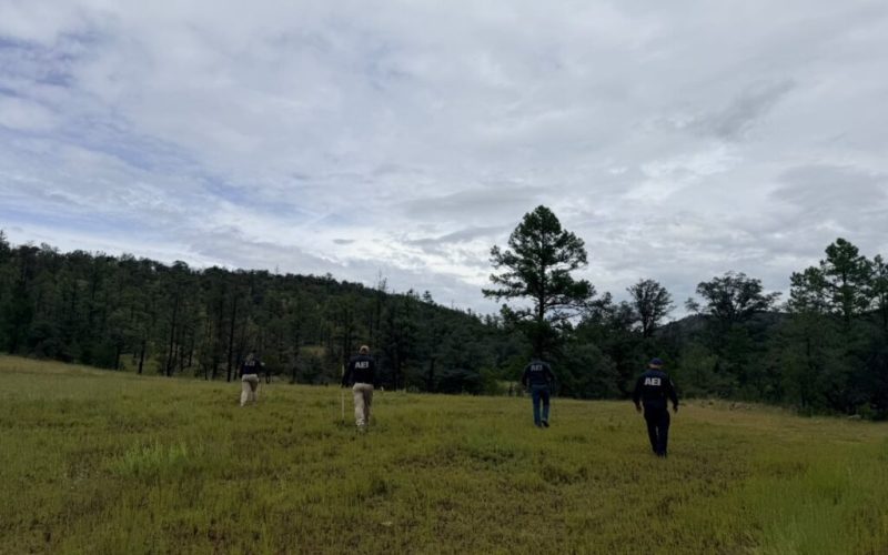 Despliegan operativo de búsqueda de personas desaparecidas en zona serrana de Guerrero
