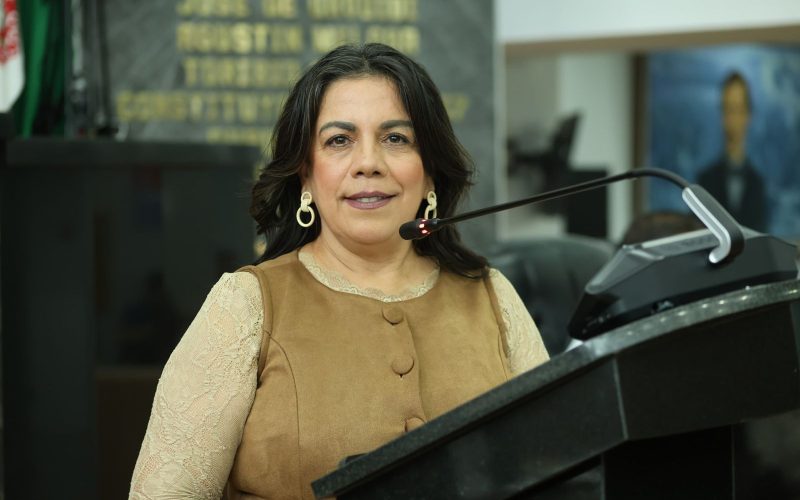Magdalena Rentería exige reglas para que ciudadanos decidan sobre parte del presupuesto estatal