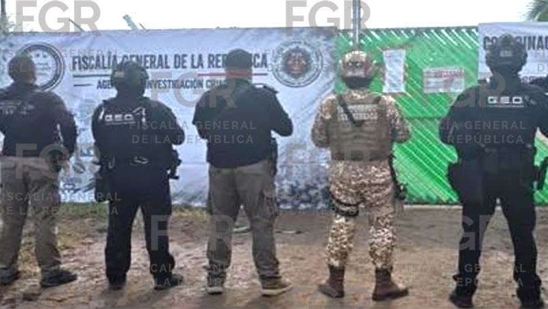 Operativos federales dejan seis detenidos; aseguran inmuebles, vehículos y fauna en cuatro estados
